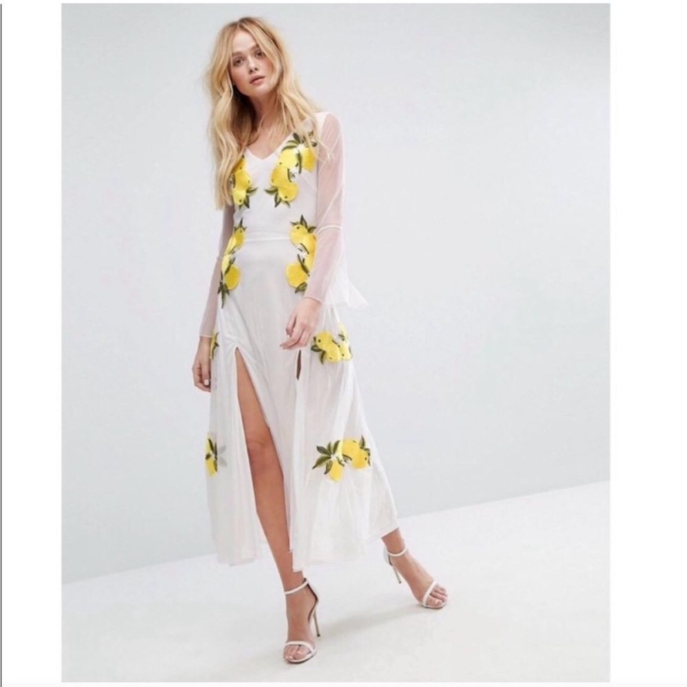 Aeryne Embroidered Mesh Maxi Dress With Bell Sleeves XS